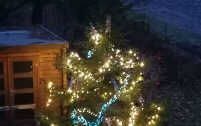 Schöne Adventszeit!