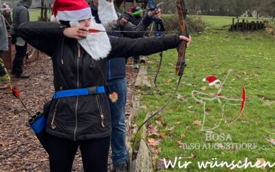 Bosa wünscht schöne Feiertage